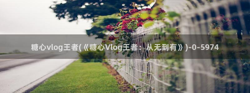 谁有糖心vlog会员