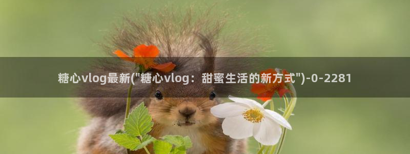 糖心vlog up主
