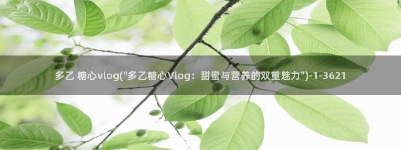 糖心vlog安装不了